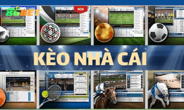 Keo Nha Cai 2