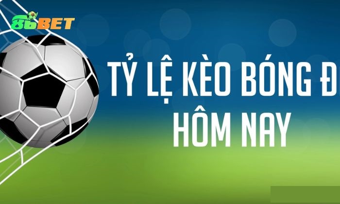 Keo Nha Cai 3