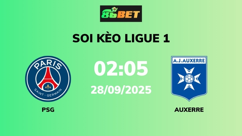 Psg Vs Auxerre (1)